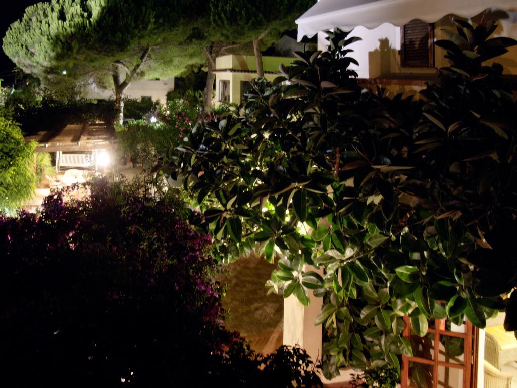 Hotel Corallo Pomonte Dış mekan fotoğraf