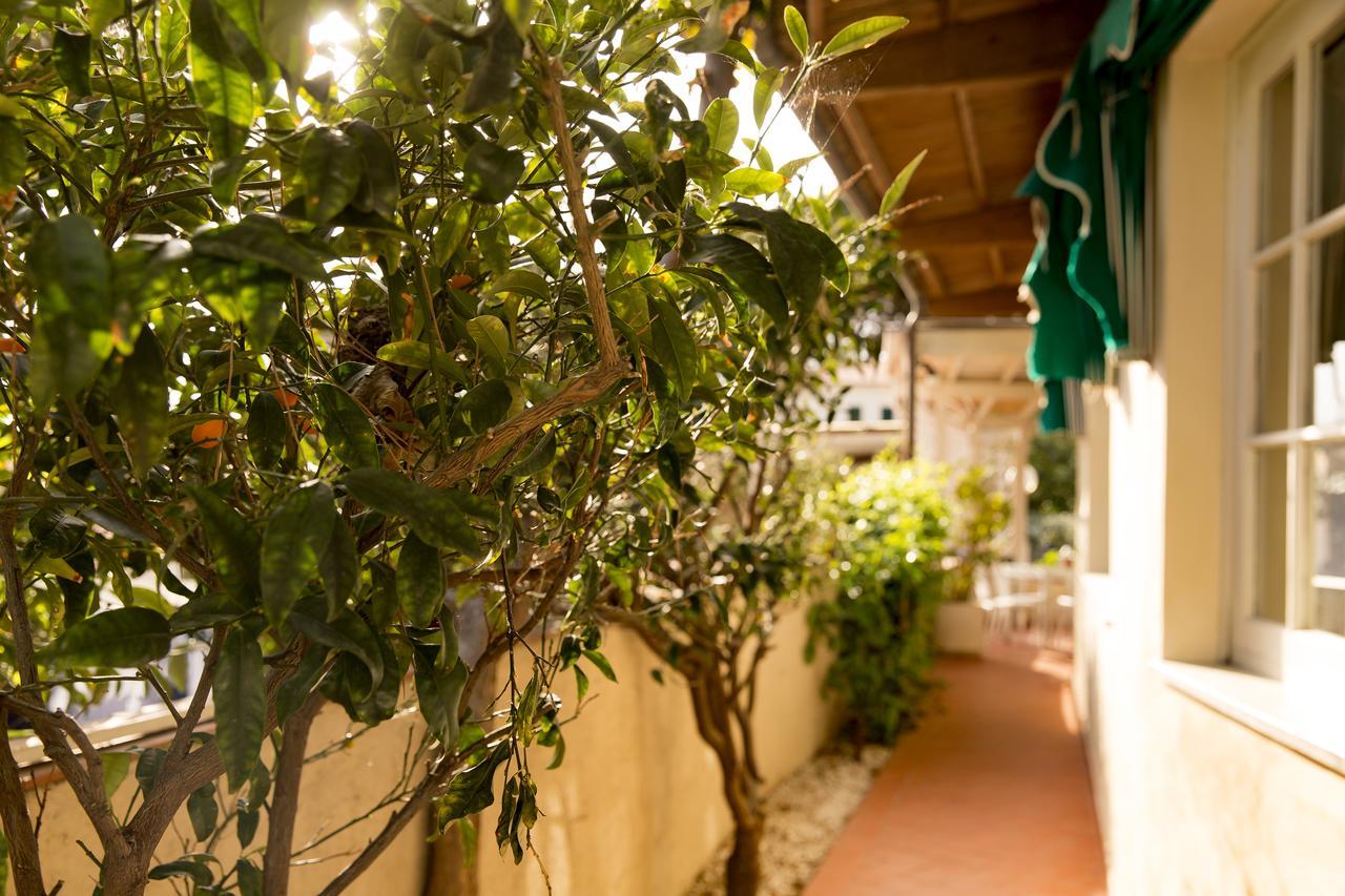 Hotel Corallo Pomonte Dış mekan fotoğraf